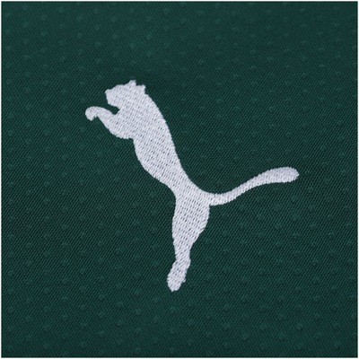 Camisa do Palmeiras I 19 Puma - Masculina - Foto 4
