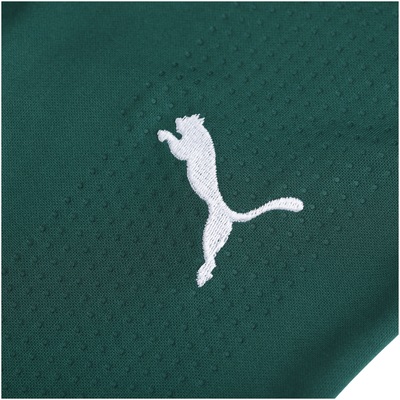 Camisa do Palmeiras I 19 Puma - Masculina - Foto 6
