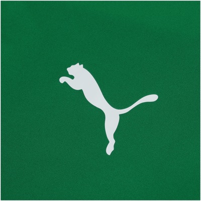 Camisa de Treino do Palmeiras 2019 Puma - Masculina - Foto 6