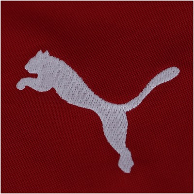 Camisa de Goleiro do Palmeiras III 19 Puma - Masculina - Foto 6