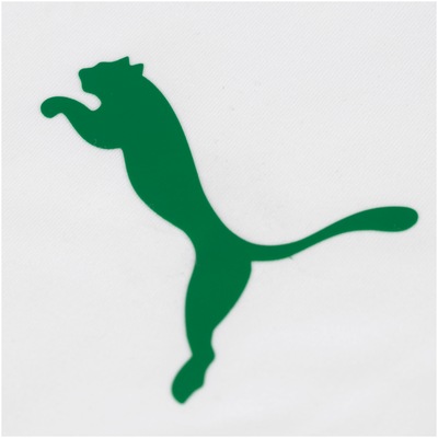 Blusa de Treino do Palmeiras 2019 Puma - Masculina - Foto 6