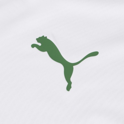 Camisa de Treino do Palmeiras 2020 Puma - Masculina - Foto 6