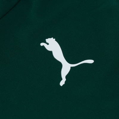 Camiseta do Palmeiras Goal 2020 Puma - Feminina - Foto 4