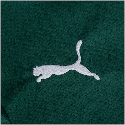 Camisa do Palmeiras I 22 Puma Jersey - Júnior - Foto 6