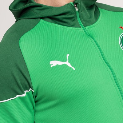 Jaqueta do Palmeiras 24 Puma Masculina com Capuz Torcedor Hooded - Foto 4