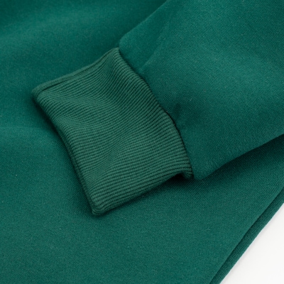 Blusa de Moletom do Palmeiras Betel Champion Masculina - Foto 3
