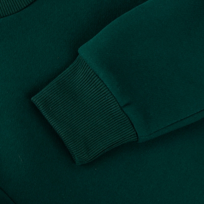 Blusa de Moletom do Palmeiras Betel Champion Juvenil - Foto 4