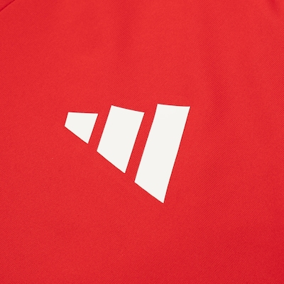 Camisa do Internacional 25 Fanshirt adidas Juvenil - Foto 4