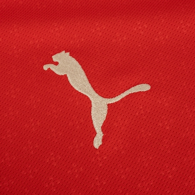 Camisa da Seleção Portugual I 25 Puma Masculina Torcedor - Foto 4