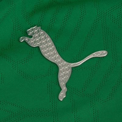 Camisa do Palmeiras 25 Puma Masculina Treino - Foto 5
