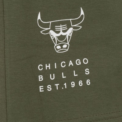 Camiseta do Chicago Bulls NBA Masculina Manga Curta Estampada N0993A - Foto 3