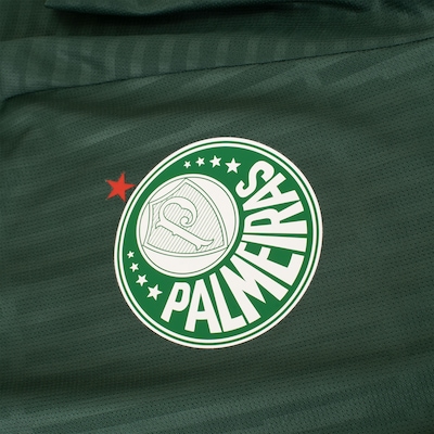 CAMISETA MASCULINA PALMEIRAS STORM - Foto 3