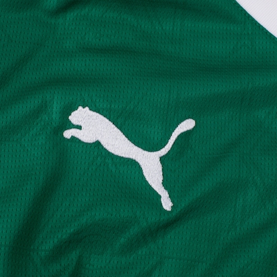 Camisa do Palmeiras I 25 Puma Masculina Torcedor - Foto 3