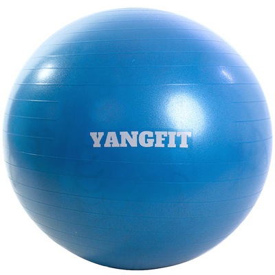 Bola de Pilates Suíça YangFit com Bomba de Encher - 65cm - Foto 1