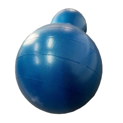 Bola Feijão Yangfit para Pilates com Bomba - Foto 3