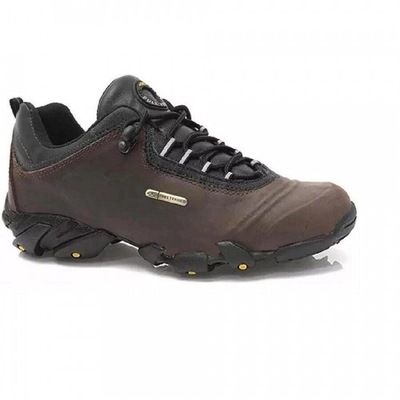 centauro tenis bull terrier