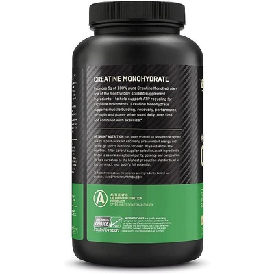 Creatina Optimum Nutrition Micronized Powder - 300g - Foto 2