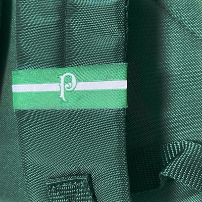 Mochila Sestini Casual Palmeiras X01 24 Litros - Foto 5