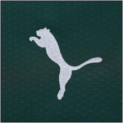 Camisa Masculina Palmeiras Verde I 2019 Puma - Foto 4
