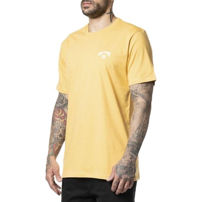Camiseta Billabong Small Arch Emb 2024 - Masculina - Foto 2
