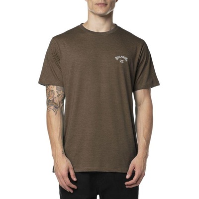 Camiseta Billabong Small Arch Emb 2024 - Masculina - Foto 1