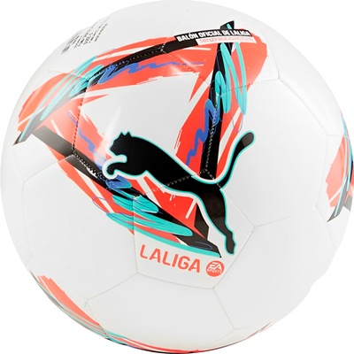 BOLA CAMPO PUMA ORBITA LALIGA 1 MS 2024 - Foto 1