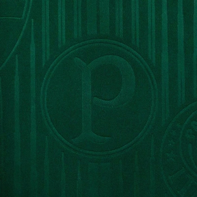 Camisa do Palmeiras I 2024 Puma - Infantil - Foto 5