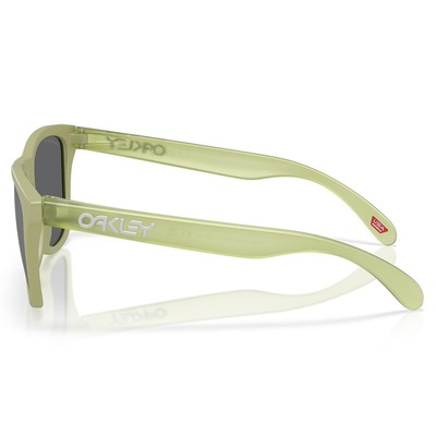Óculos de Sol Oakley Frogskins Matte Fern M255 - Unissex - Foto 2