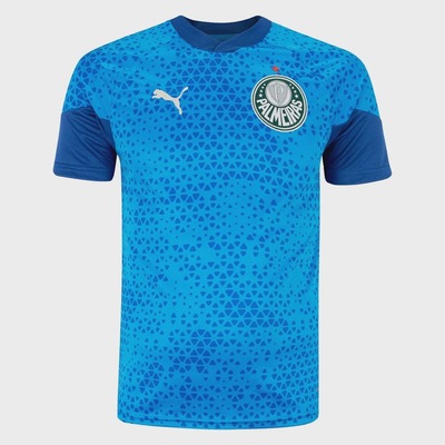 Camisa do Palmeiras 2024 Puma Treino e Viagem Torcedor - Masculina - Foto 1