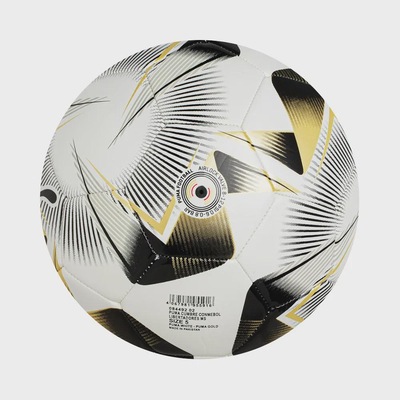 Bola de Futebol de Campo Puma Conmebol Libertadores Ms - Foto 3