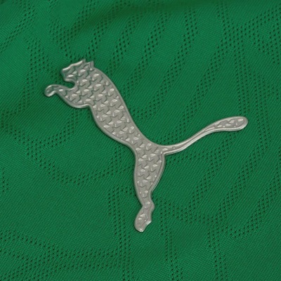 Camisa de Treino do Palmeiras 2025 Puma - Feminina - Foto 4