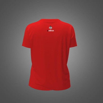 Camiseta do São Paulo Zé Carretilha Bandeira SPFC - Feminina - Foto 2