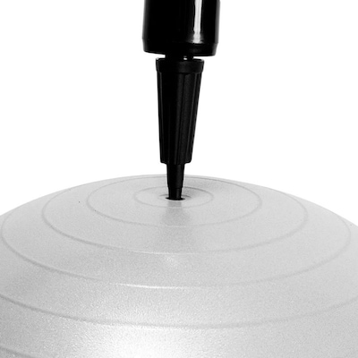 Bola Acte Gym Ball 65cm - Foto 2