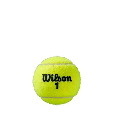 Kit Bola de Tênis Wilson Tennis Roland Garros All Co - Foto 3