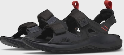Sandália Masculina The North Face Hedgehog Sandal lll - Foto 1