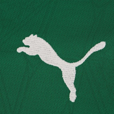 Camisa do Palmeiras I 25/26 Masculina Puma - Foto 4