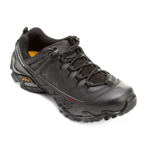 centauro tenis bull terrier