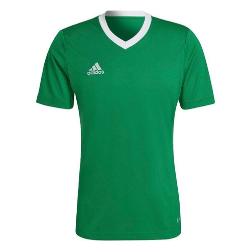 Camiseta adidas Entrada 22 - Masculina é boa?
