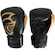 Luvas de Boxe Pretorian Black Line - 12 OZ - Adulto PRETO/OURO