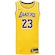 Camiseta Regata Los Angeles Lakers Nike Dri-Fit NBA MNK SWGMN JSY AMARELO/ROXO