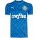 Camisa de Goleiro do Palmeiras 24 Puma Masculina AZUL