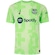 Camisa do Barcelona III 24/25 Nike Torcedor Pro Masculina VERDE CLARO