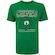 Camiseta do Boston Celtics NBA Masculina Box Out N0125 VERDE