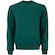 Blusa de Moletom do Palmeiras Betel Champion Masculina VERDE