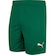Calção do Palmeiras II 25 Puma Masculino VERDE
