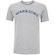 Camiseta do Golden State Warriors NBA Masculina Estampa N793A MESCLA