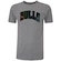 Camiseta do Chicago Bulls NBA Masculina HGraphic NB394 CINZA MESCLA