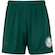 Calção do Palmeiras II Betel Juvenil 1914 VERDE