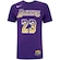 Camiseta Nike LeBron James Los Angeles Lakers Masculina ROXO
