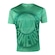 Camiseta SPR Palmeiras Supporter - Masculina VERDE